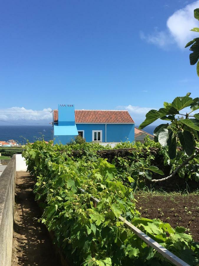 Casa Do Vizinho Villa Porto Judeu Luaran gambar